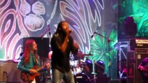 Junior Kelly and dubtonic kru Been There (live) rototom 2014