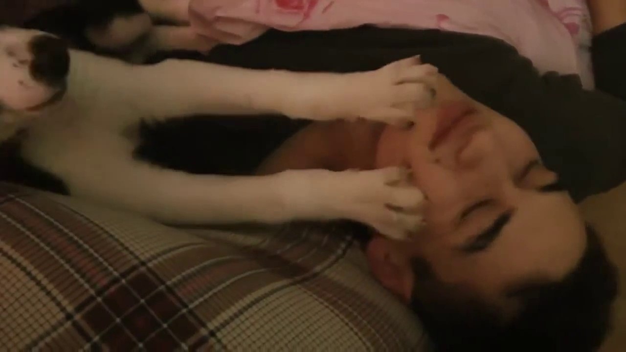 Hachiko puppy bothers sleeping Boy - cute