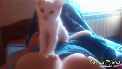 Funny Videos _ Funny Cats _ Funny Vine Videos _ Cute Funny Videos Cool