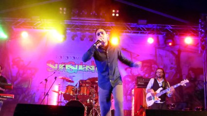 andy mittoo and the eazy skankers i wanna be loved + freedom (live) rototom 2014