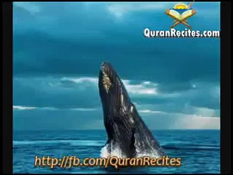 Hazrat Suleman A.S Waqia by Maulana Tariq Jameel