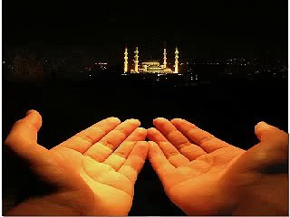 Great Muslim Speaker Maulana Dr Tariq Jamil - Dua At Arfat