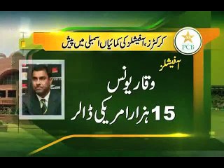 Find out how much cricket players and PCB officials are paid