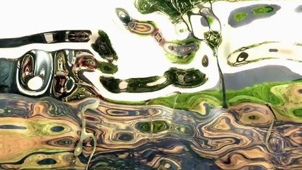 Trailer - Far Cry 3 (Gameplay Vidéo et Séance avec le Docteur Earnhardt)