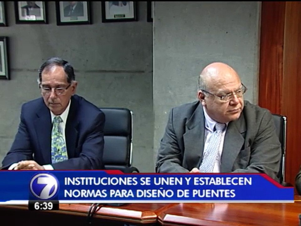 Colegio de Ingenieros presentó nuevos lineamientos para construir puentes más seguros