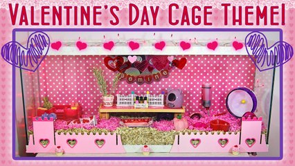 VALENTINE'S DAY CAGE THEME! (Pudding & Dumpling)