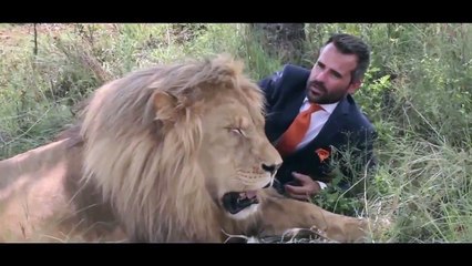 Football with lions