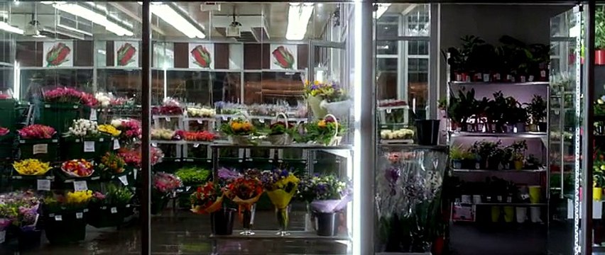 Пятьдесят оттенков серого онлайн 2015