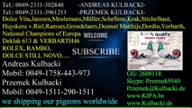 Kulbacki Racing Pigeon Transport to Canada and USA tel. 0049 1511 290 1511, Przemek@Kulbacki.de