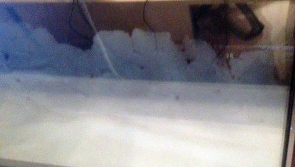 Uploaded video via Globalistan iOS (Thursday February 5, 2015 6:25 pm, EET)