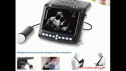 Most affordable Ultrasound for Pigs- MSU1 by Keebomed