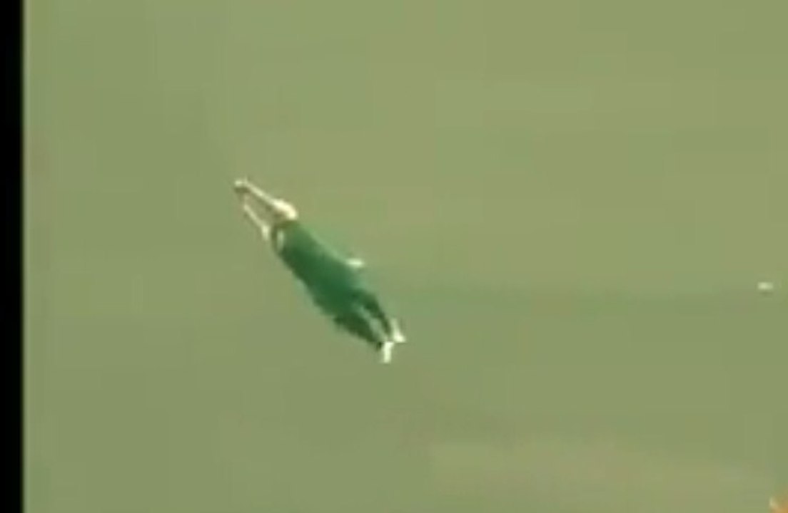 World's best catch ever