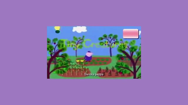 Bajki Świnka Peppa - Nowe Odcinki Bajki Po Polsku