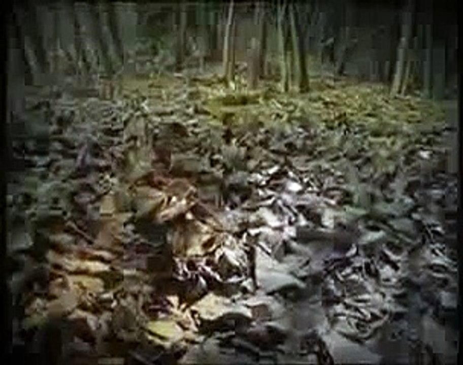 Geneva Cobra Royal inauguration by LUXE.TV (en)