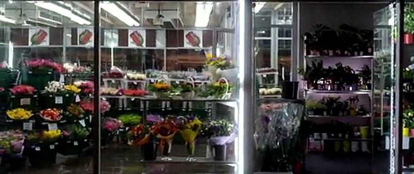 фильм Пятьдесят оттенков серого скачать торрент