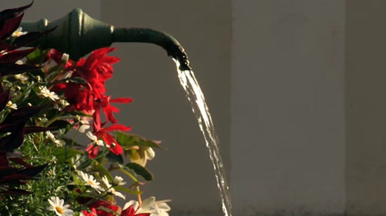 Bregenz – eine Stadt zum Flanieren