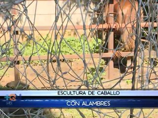 Una artista tica encontró en los caballos la pasión que la hace brillar en el exterior