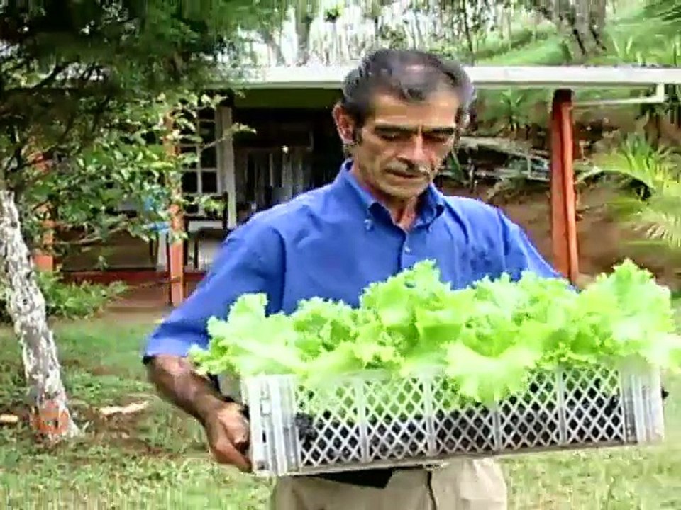 Un matrimonio cultiva productos orgánicos que ofrece en ferias del agricultor
