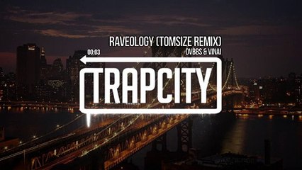 DVBBS & VINAI - Raveology (Tomsize Remix)