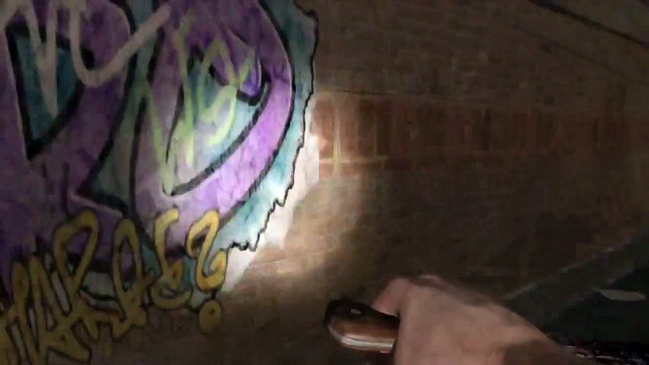 Trailer - The Walking Dead: The Game (FPS Version - Plastic Land ?)