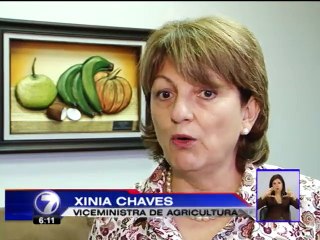 Nueva técnica podría ser solución para pesca de arrastre de camarón