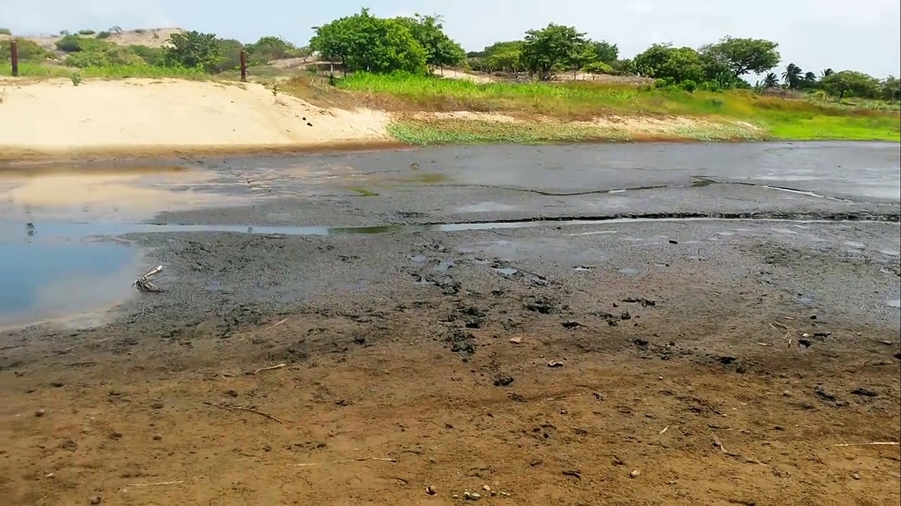 Secretário de Meio Ambiente de Paracuru fala sobre a seca