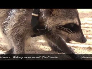 El Refugio de Potosí: B Major Sessions