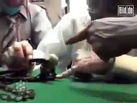 Is this an Alien or an Unidentified Living Object, Jin ya koi aur Makhlooq, Ajeeb Makhloq