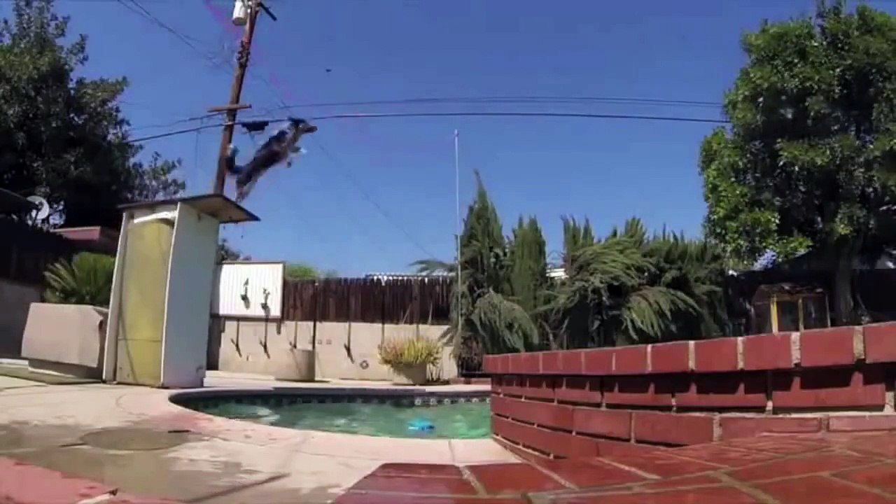 Talented dog if you ask