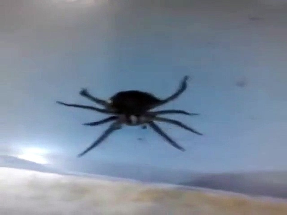 NOPE!