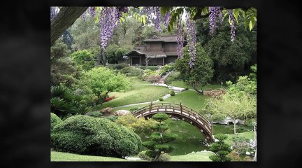 A wonderful backyard landscaping idea
