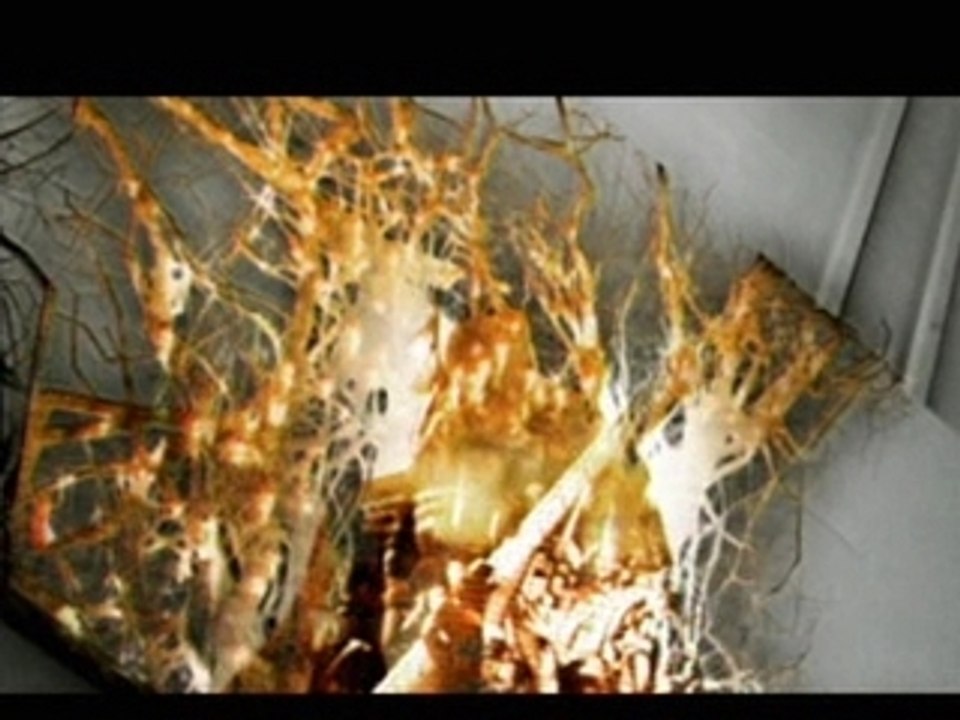 No one is innocent - Revolution.com