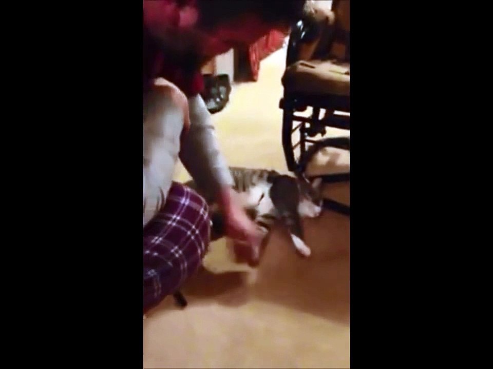 Cat plays dead to avoid going for a walk