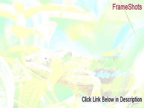 FrameShots Key Gen - Risk Free Download