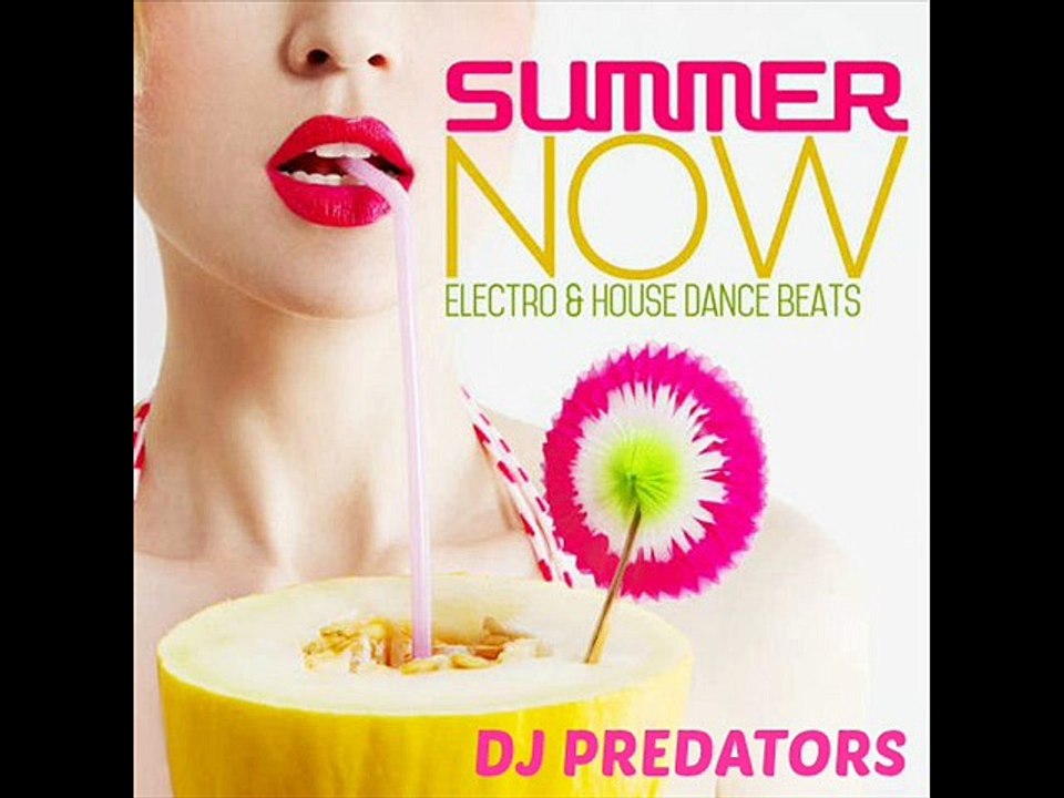 Summer Now Vol.4 - DJ  PREDATORS