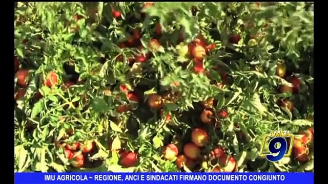 Imu agricoltura | Regione, Anci e sindacati firmano documento congiunto