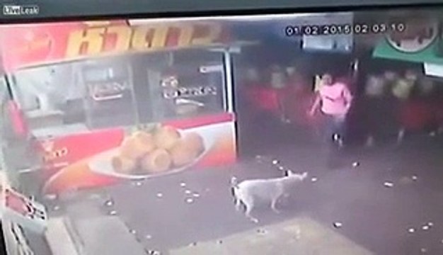 Un homme tente de frapper un chien mais c'était une très mauvais idée!