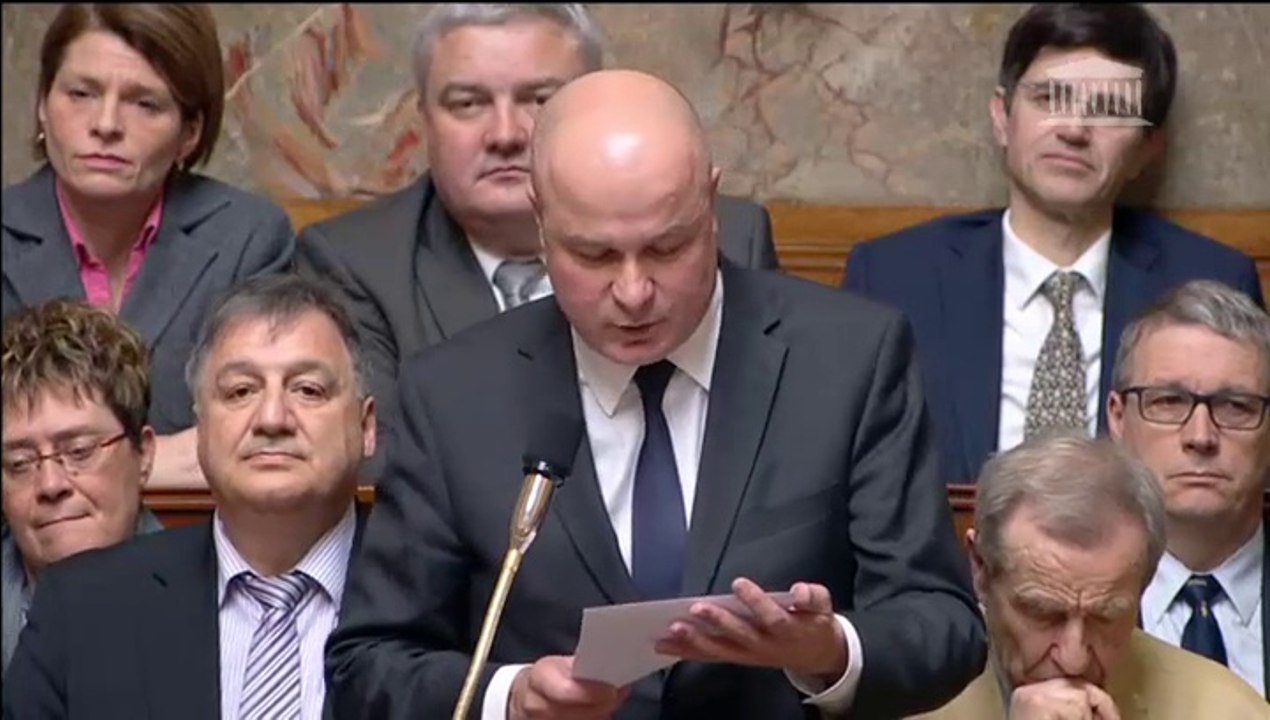 Philippe Le Ray - Elections départementales