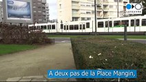 Nantes (44) - Appartement à vendre proche commerces et tram. Quartier Mangin-Pirmil. En bords de Loire.