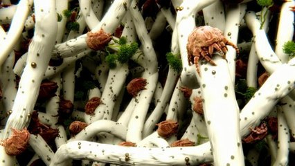 Van Nuys Water Restoration (818) 921-8213