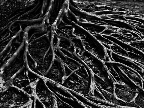 ATAVISMA - The savage one (Death metal, doom, old school, France)