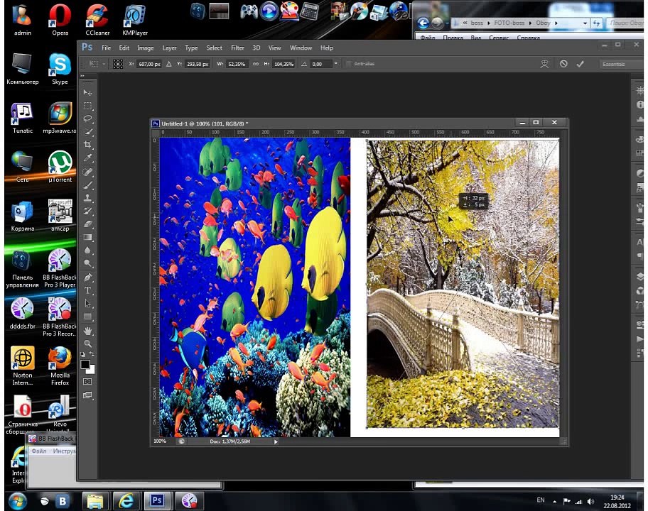 Photoshop-da 2 şəkli birləşdirmək..