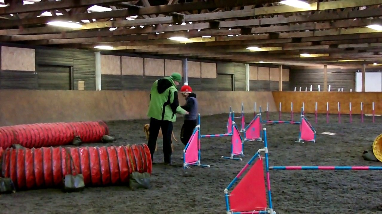 Agility feb 2015 Kiara 01