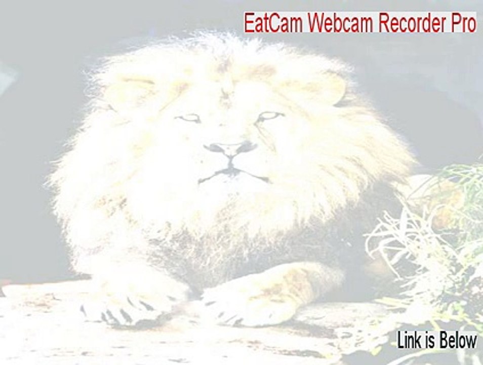 EatCam Webcam Recorder Pro Cracked (EatCam Webcam Recorder Pro)