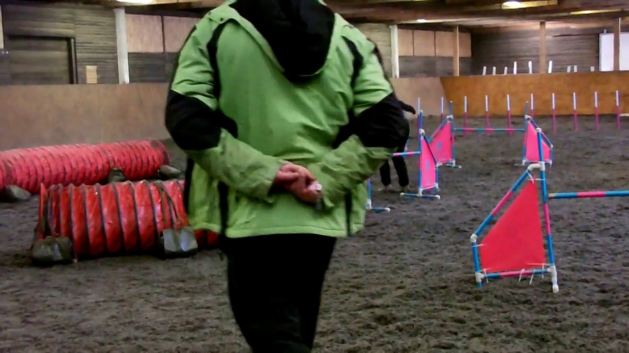 Agility feb 2015 Kiara 02