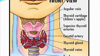 0535 3573503 danışma hipotiroid,tiroid hastalıkları ve gebelik,tiroid hastalıkları tedavisi,tiroid hastalıkları ppt, tiroid hastalıkları belirtileri, tiroid hastalıkları haşimato,tiroid bezi hastalıkları, tiroid hastalıkları belirtileri,tiroid