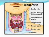 0535 3573503 danışma hipotiroid,tiroid hastalıkları ve gebelik,tiroid hastalıkları tedavisi,tiroid hastalıkları ppt, tiroid hastalıkları belirtileri, tiroid hastalıkları haşimato,tiroid bezi hastalıkları, tiroid hastalıkları belirtileri,tiroid