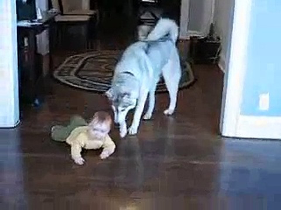 Vincent on the move