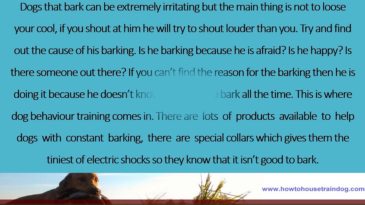 Dog Behaviour Training