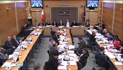 Examen en commission des lois de l'après article 22 du projet de loi NOTRe - Mardi 4 fevrier 2015